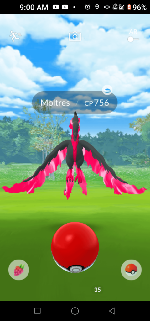 It fled ( i had no ultra balls cuz swinub and my throws in general are bad)