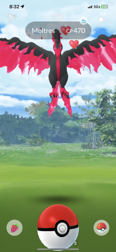 PAIN! Golden razz, excellent great ball….disappears. First sighting of any bird