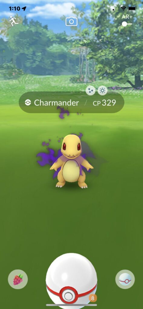 Are these always shiny, or did I get lucky?