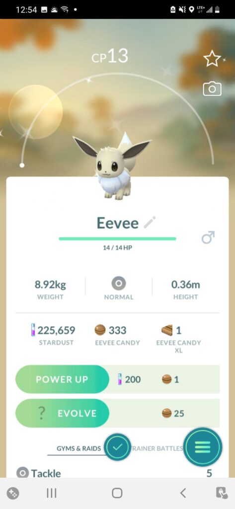 My first shiny eevee. My sweet lil bb.