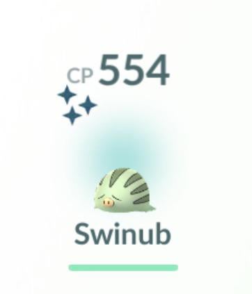 I want to show off ALL of the Shiny Swinub I’ve caught during the CDC event!