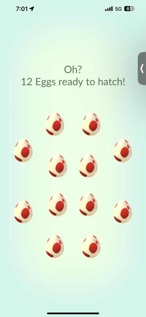 12 km eggs and Salandit