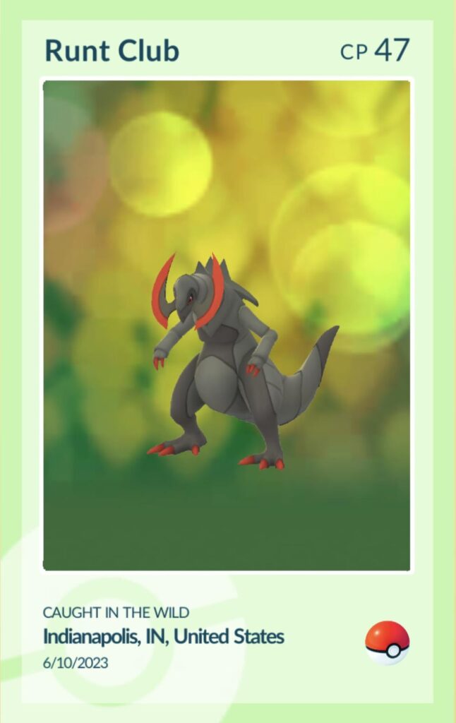 Say hello to my (newest) ✨ little friend!