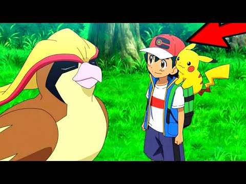 Pokemon Masters Ep 11 | Short Film | Ash Pidgeot Return | Ash Met With All His Pokemon.