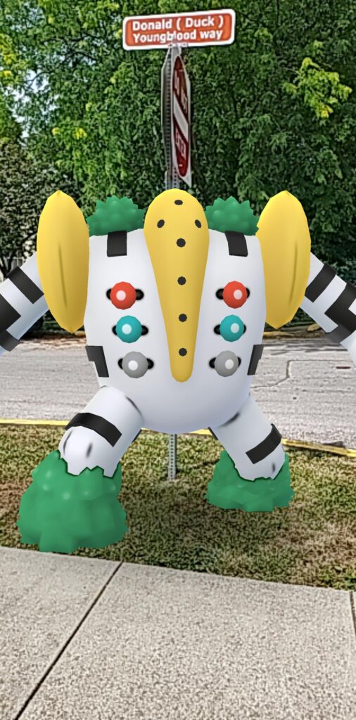 the street guardian