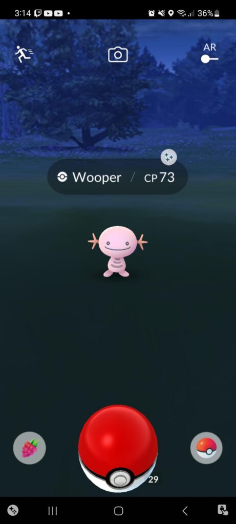 Found a cutie at 3 a.m.