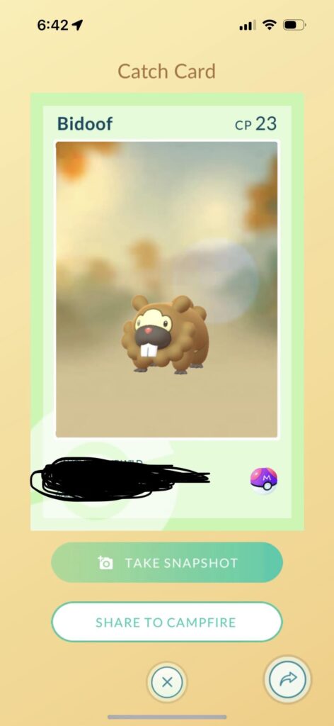 I used my Master Ball on a Bidoof as a joke.