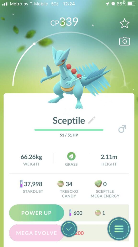 Found this dude just chillin at my apartment.