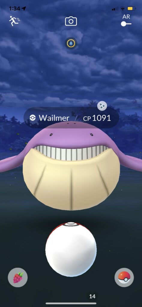Caught this shiny middle of the night!!! Big surprise 🤩🤩🤩