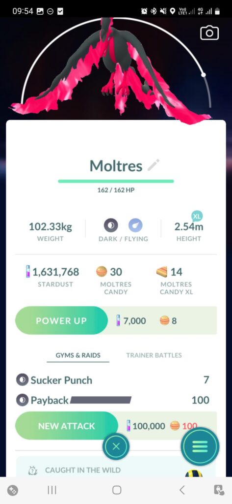 All 3 Galar birds, caught my me