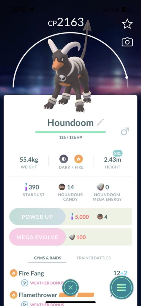 A 2.43 metre tall houndoom