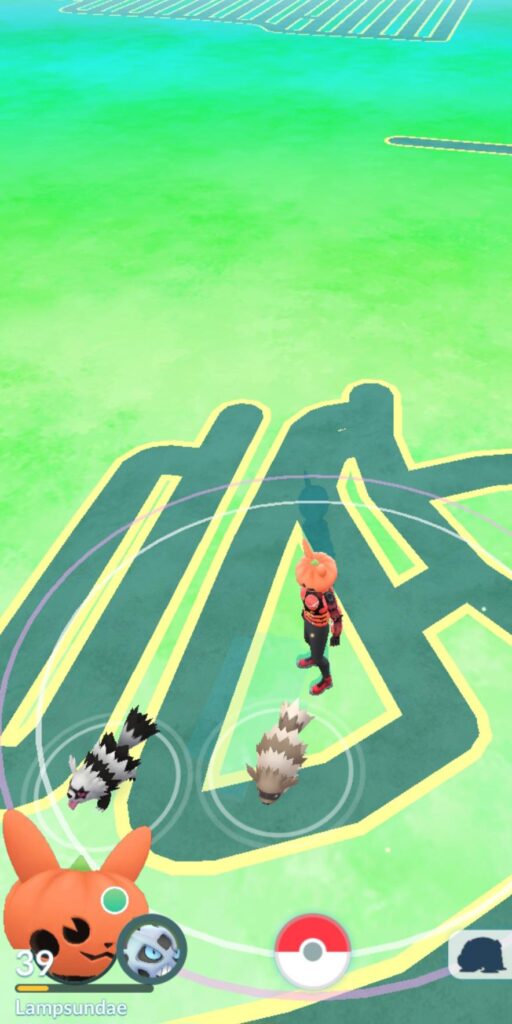 Zigzagoon and his goth GF