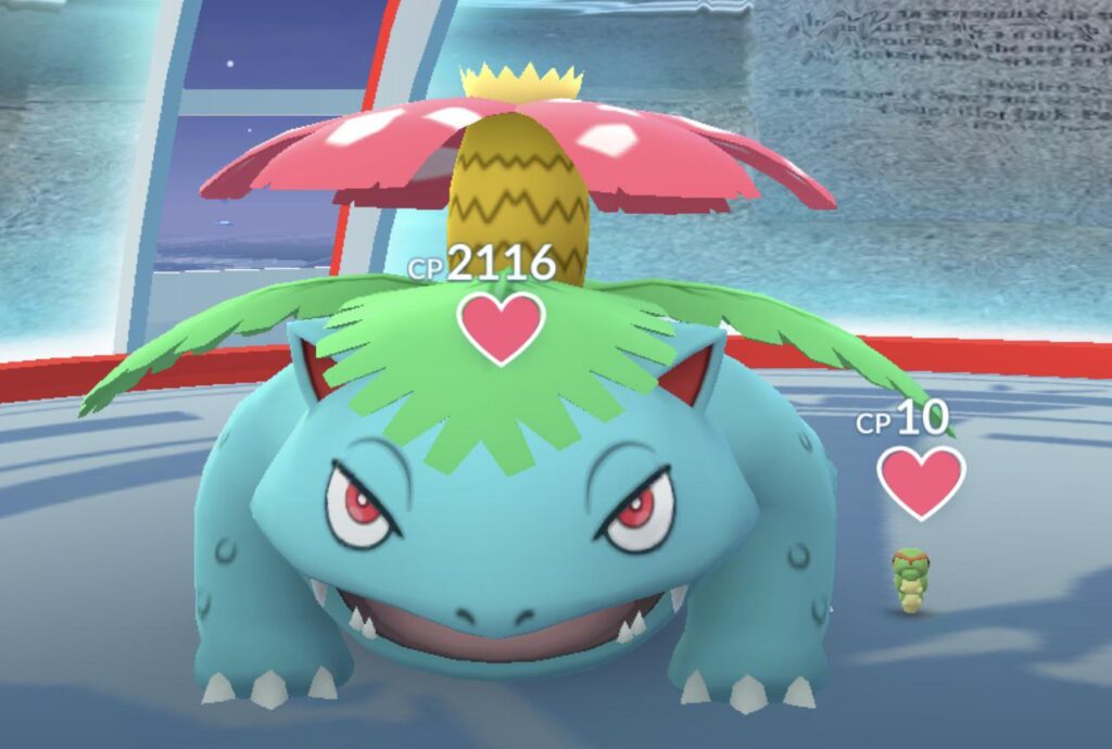 My XXL Venusaur and my girlfriend’s XXS Caterpie defending our local gym