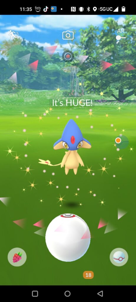1st in person raid of the day!! XXL Shiny Azelf ✨☘️