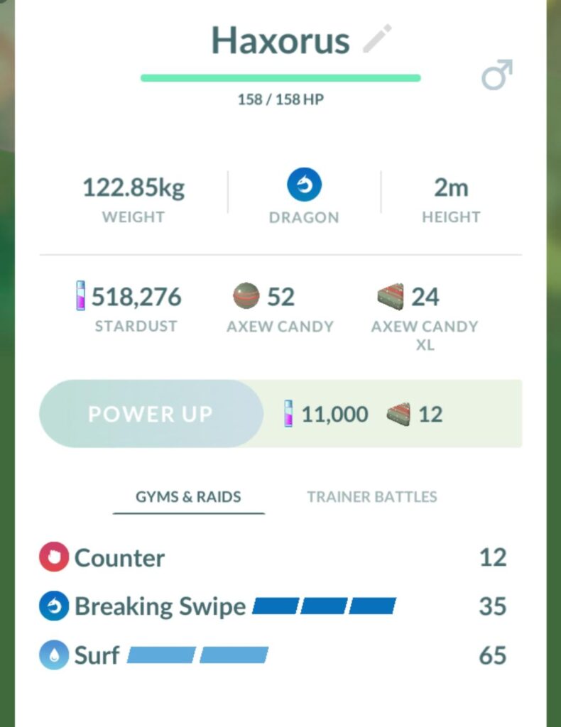 Best haxorus moveset?