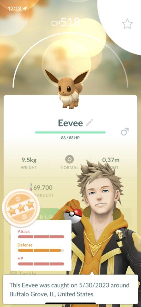 What should I do with this beauty?