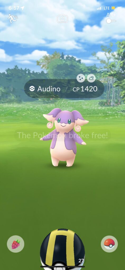 what should i name this beauty