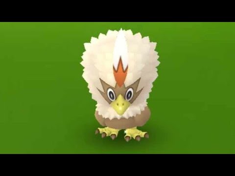 Rufflet Spotlight Hour - Shiny Hunt - Live - Pokemon GO
