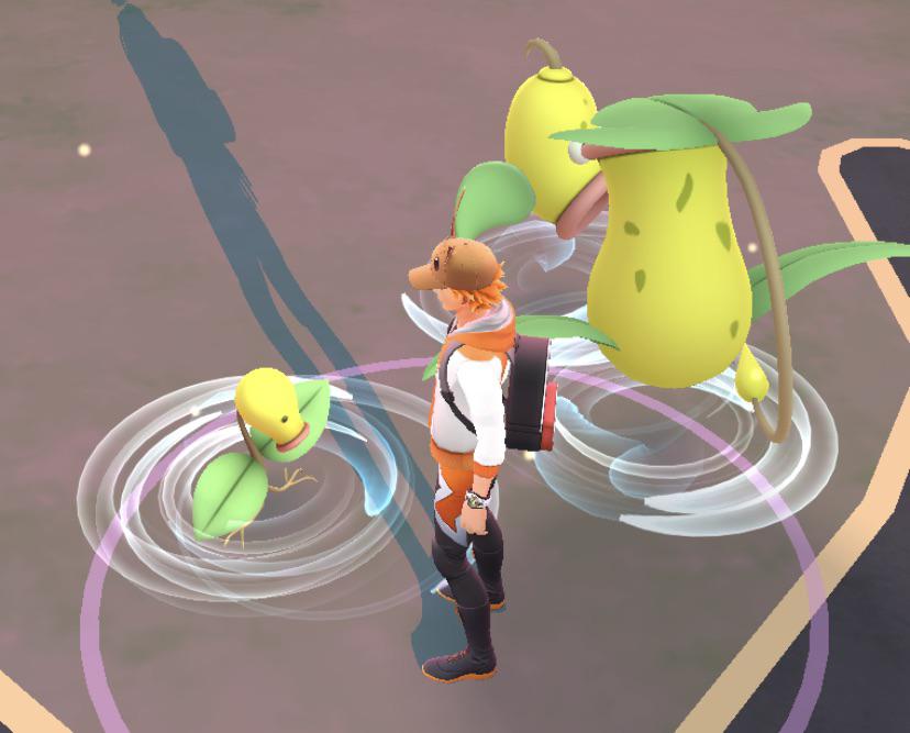 Wow! I’ve never found an entire evolutionary line until today.