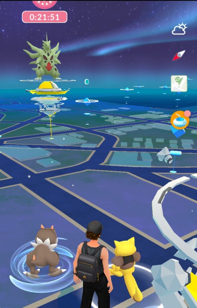 They seem to enjoy the view.