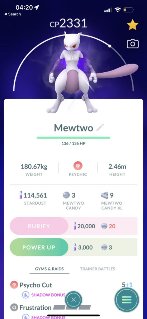 Do I purify or do I leave shadow?