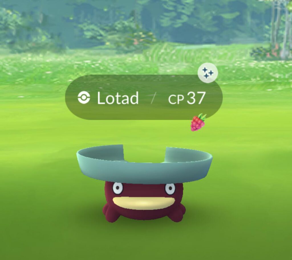 I’ve seen so many people post shinies.. I present my first one in a year