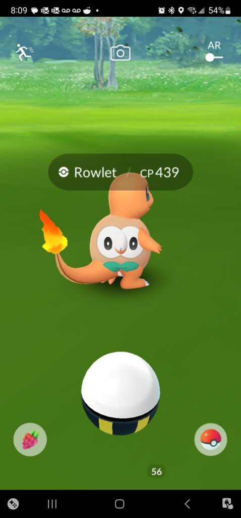 What Pokémon is this? Charmander glitch