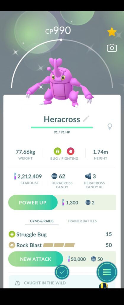 Trip to Mexico worth it