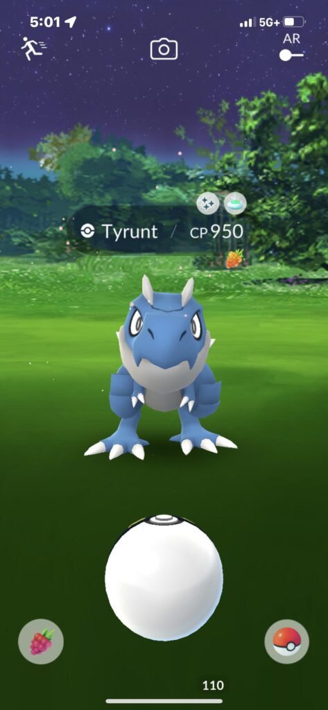 What should I name him?