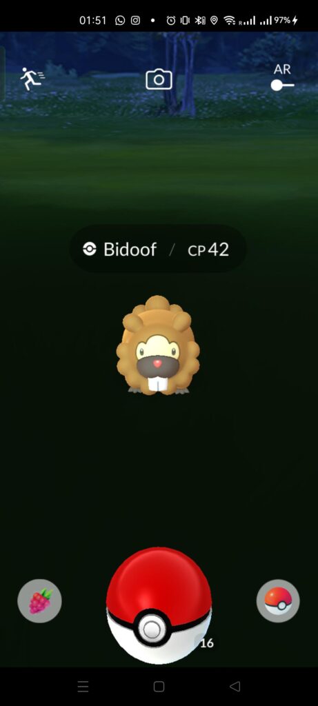 This wise Bidoof holds the answer to all questions.