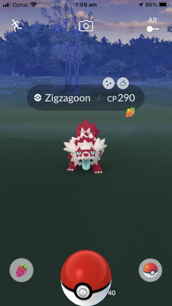 One of best shiny’s IMO. The first Pokémon I clicked on this morning, too!