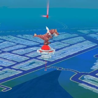 Why are few gyms larger compared to other