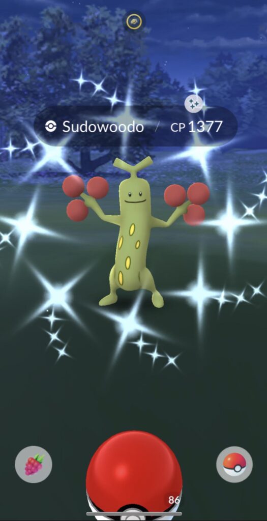 Haven’t Seen a Wild Sudowoodo in Forever ✨