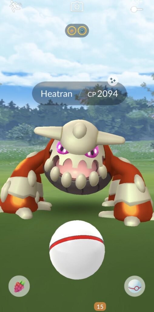 Catch of the Day