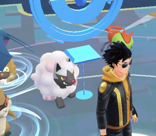 There’s something about this Wooloo…