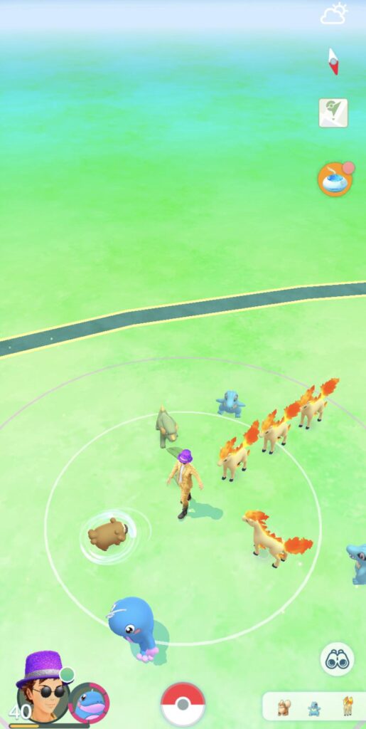 I fed one a berry, and now they’re lining up