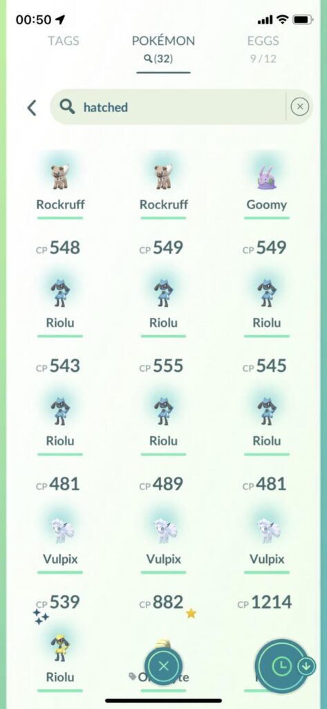 Riolu Hatch day