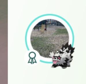 What does the little badge mean?