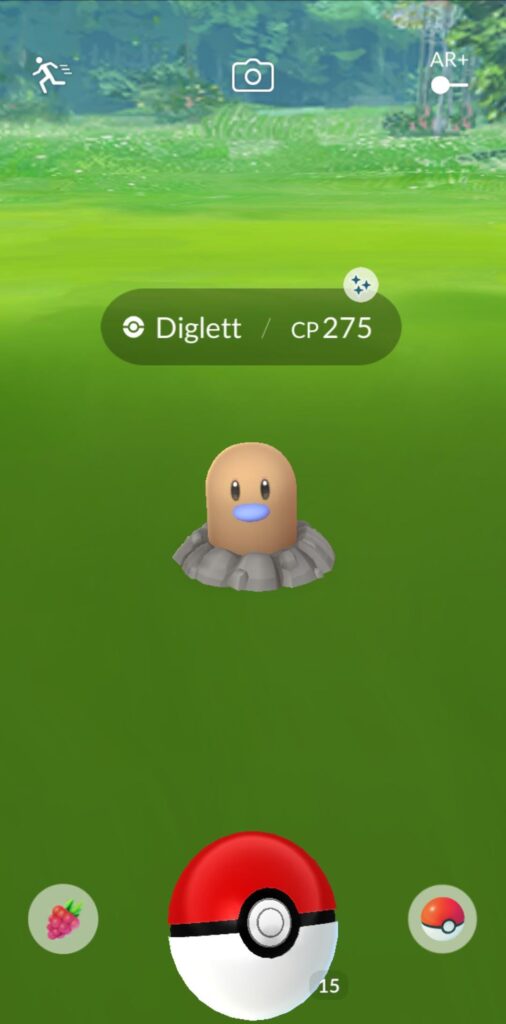 I've never caught a shiny, but 2 I one day!?