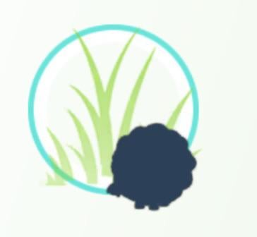 Who’s that Pokémon?