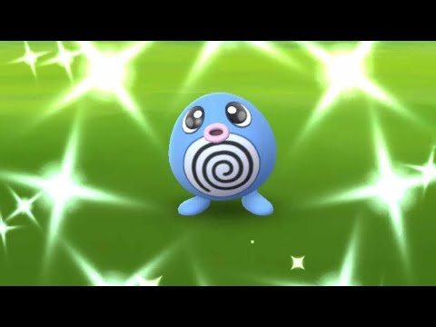 Poliwag Community Day - LIVE - Shiny Hunt (Pokemon GO)