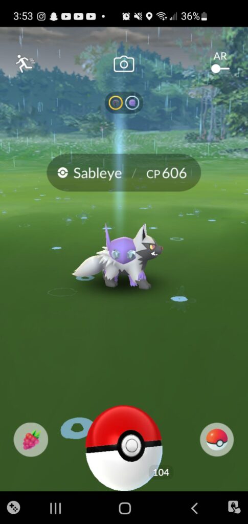 Does anyone know which pokemon this is?