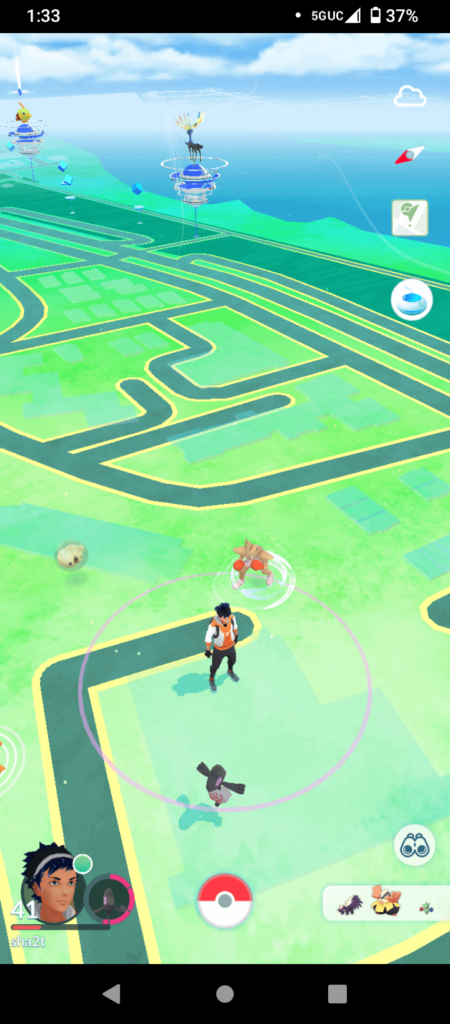 Looks like someone put a xerneas in a gym...