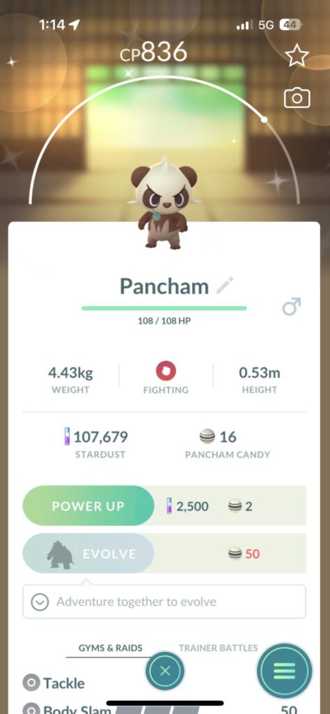 Wooooo Shiny Pancham