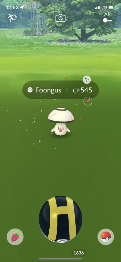 Oh look a normal Foongus, better just run and save my pokeballs for this weekend