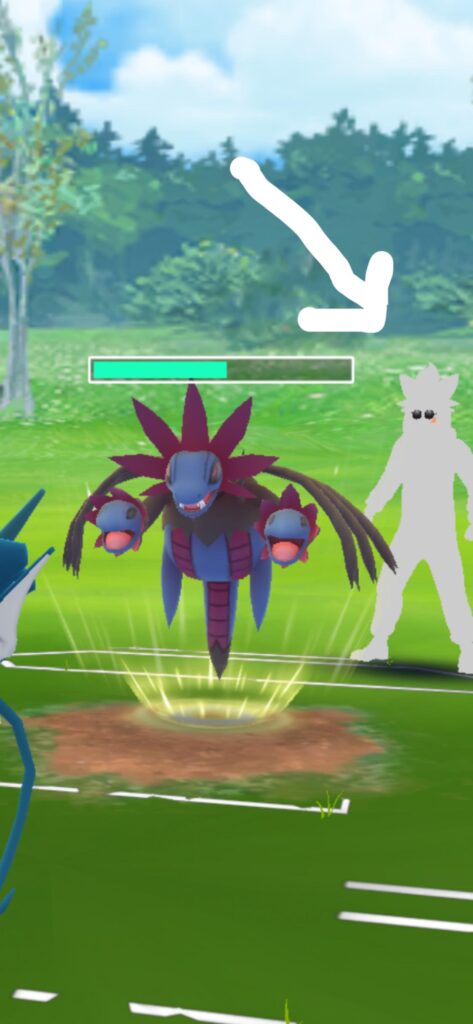 New Outfit ?? Never seen before