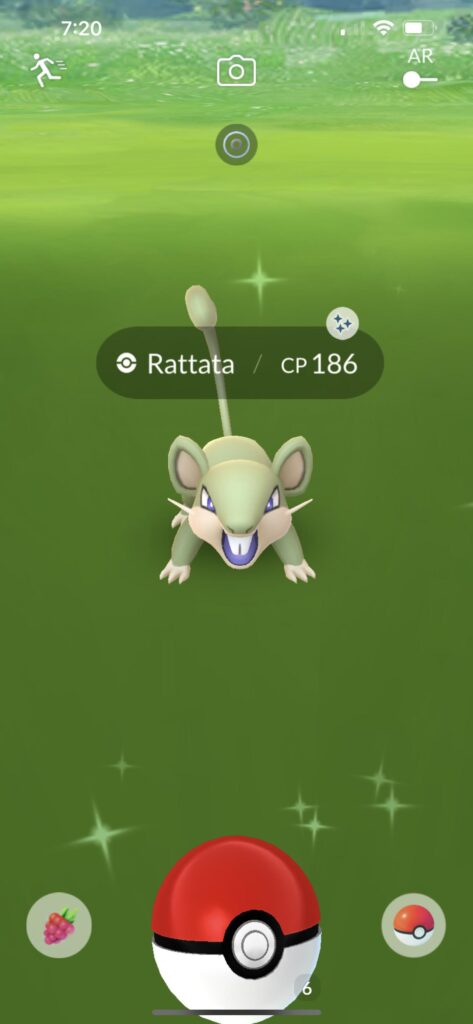 Not a single shiny all adventure week after walking all over the world, but this rascal just spawned at my house