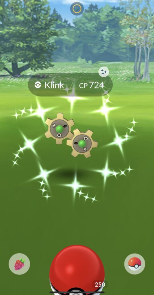 Shiny results today from nyc