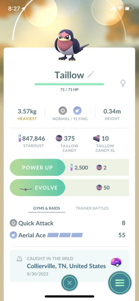 My 6 year old thought this was a pretty ball…