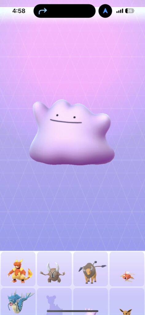 I FINALLY GOT A DITTO